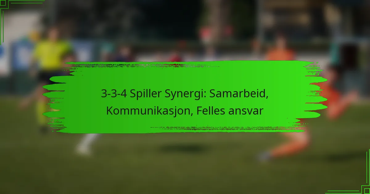 3-3-4 Spiller Synergi: Samarbeid, Kommunikasjon, Felles ansvar